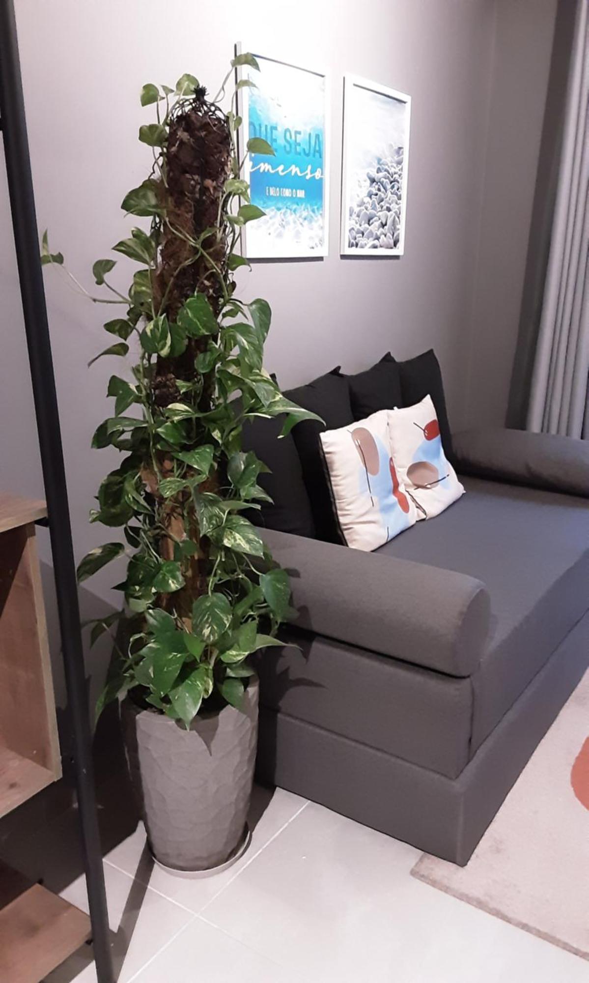 Apartment Ape Varanda Mar - Estudio Em Na Quadra Da